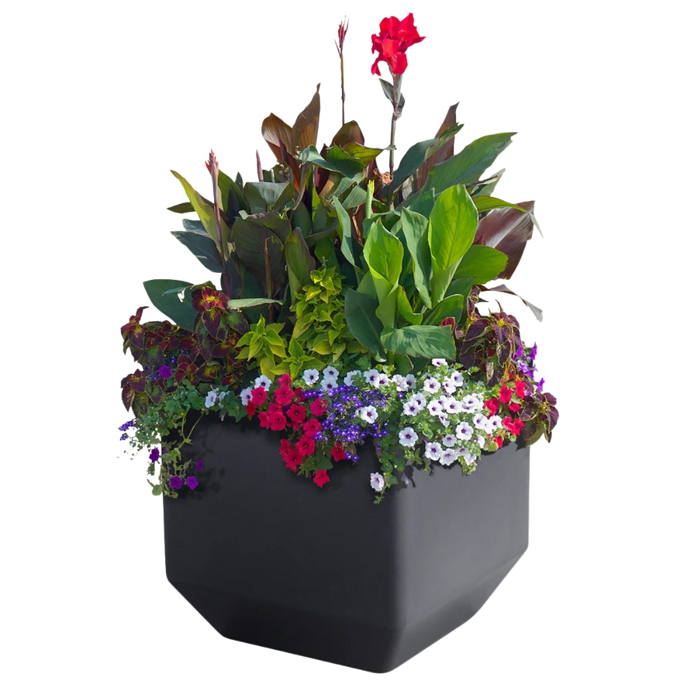 Versa - Jardinières carrées de 40,6 cm (16 po) avec système d’auto-irrigation