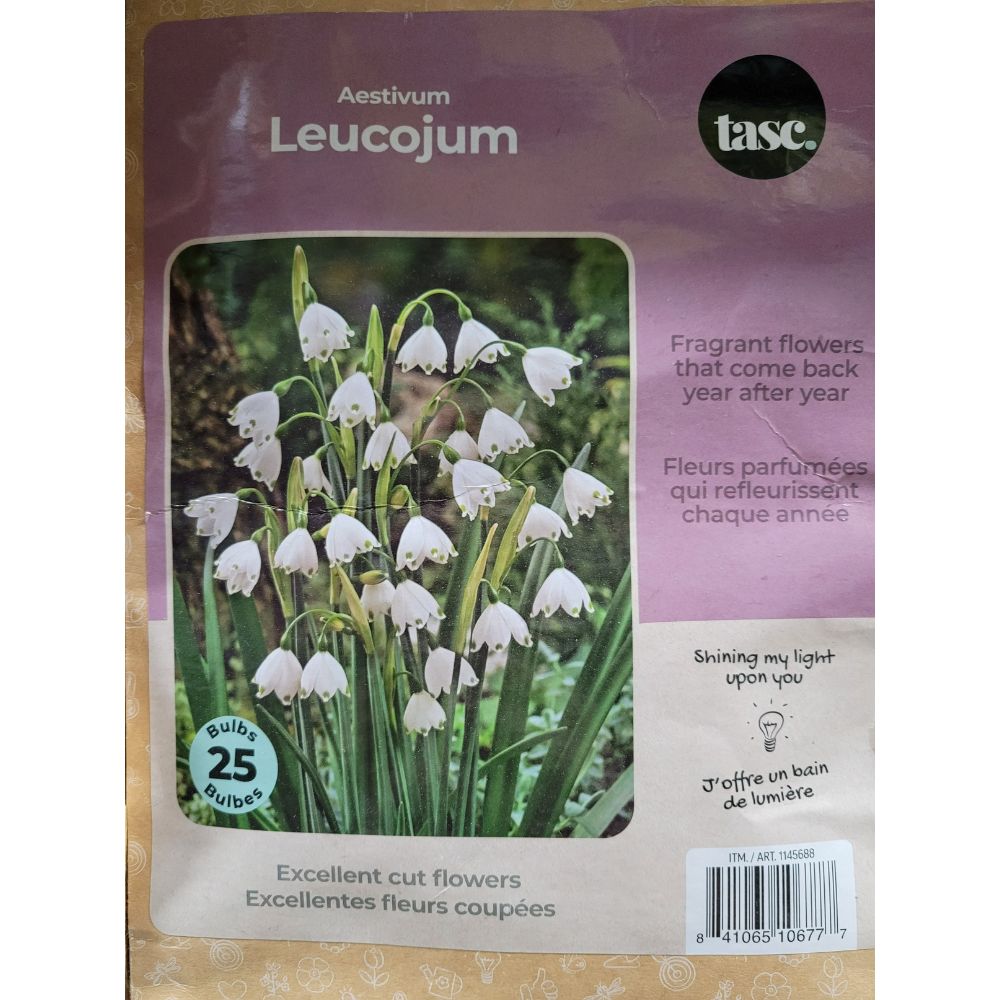 Tasc - Assortiments de bulbs de fleurs
