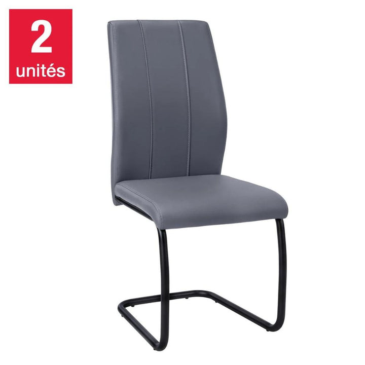 Geri Contemporary Chair with Black Frame - 2-Pack