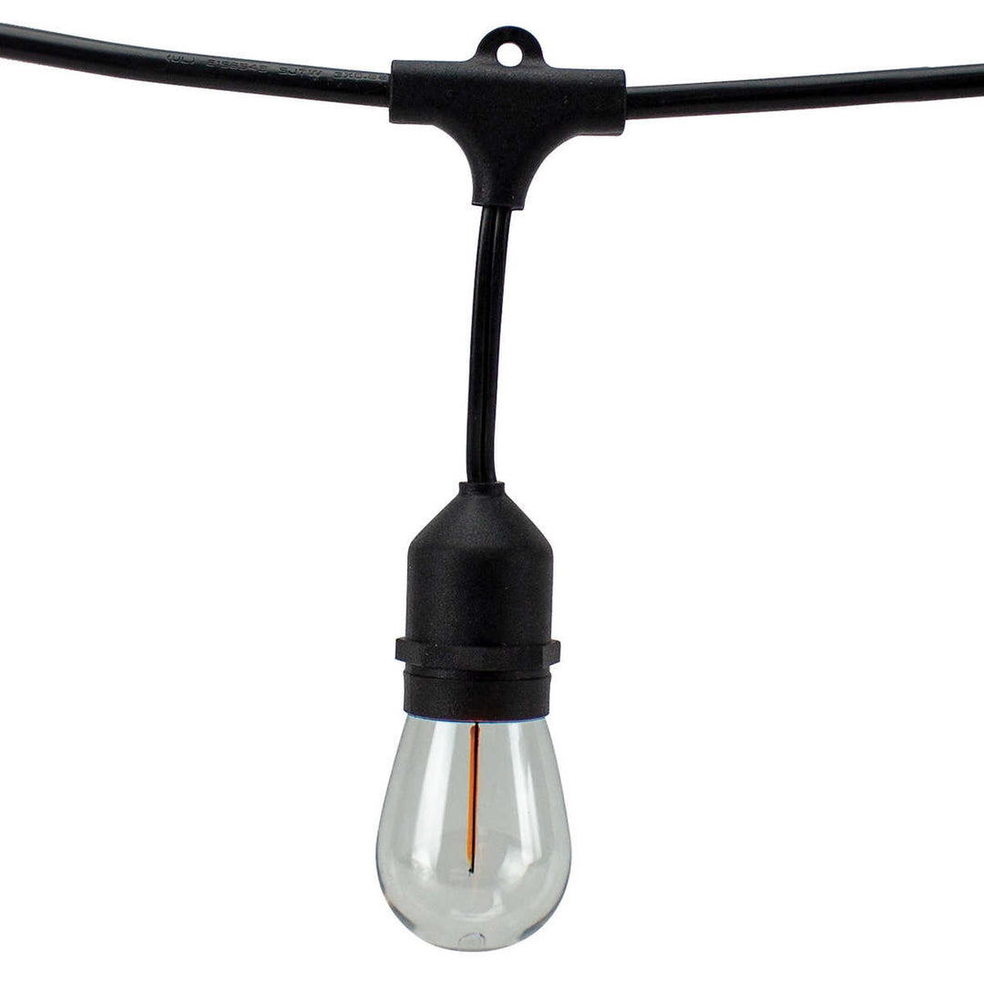 American Lighting - Guirlande lumineuse à DEL blanc chaud de 48 pi