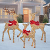 3-Piece LED Deer Family Set