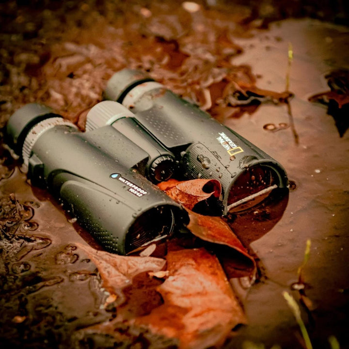 National Geographic - Binoculaires imperméables 10x42 + sangle flottante