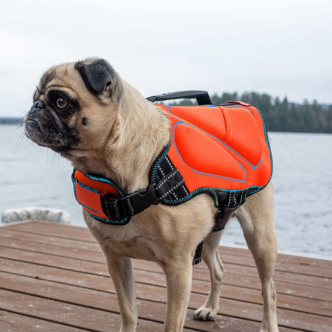 Silver Paw Neoprene Dog Life Jacket