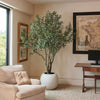 CGH - 243.6 cm (95.9") Artificial Olive Tree