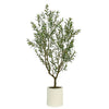 CGH Artificial Olive Tree