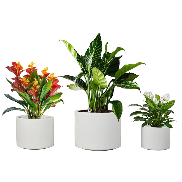 CMS - Indoor and Outdoor Ceramic Round Planters, Set of 3