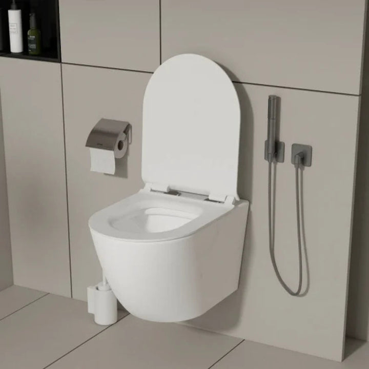 Appollo - Dillon wall-mounted toilet