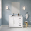 OVE Decors - Meuble-lavabo Eliot 42 po avec comptoir en quartz