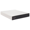 Sealy - Cocoon 10-inch (25.4 cm) Twin Mattress