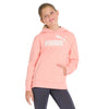 Puma - Hoodie