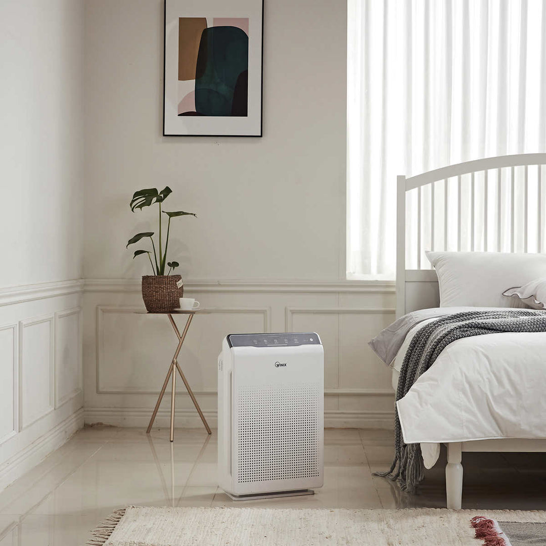 Winix - Purificateur d'air C535 avec ensemble de filtres True HEPA