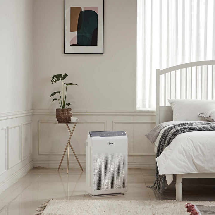 Winix - Purificateur d'air C535 avec ensemble de filtres True HEPA