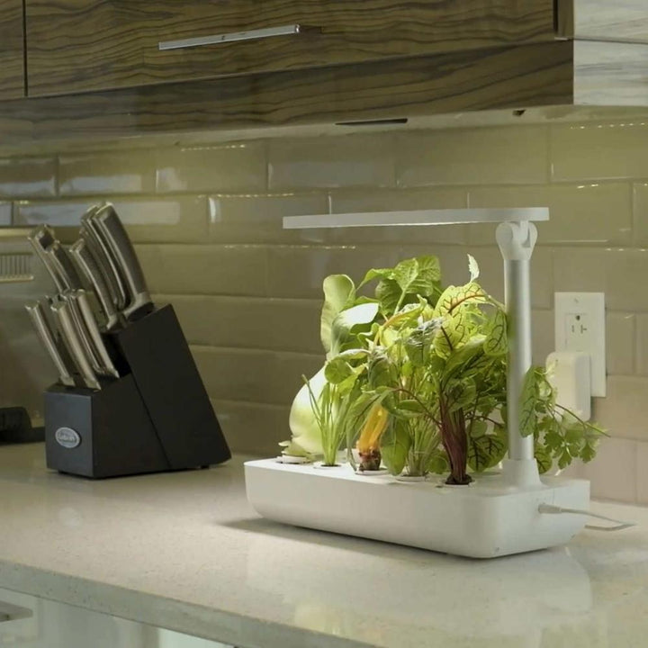 Vegehome - Jardin intérieur, trousse de démarrage pour jardin intérieur