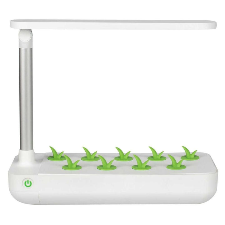 Vegehome - Jardin intérieur, trousse de démarrage pour jardin intérieur