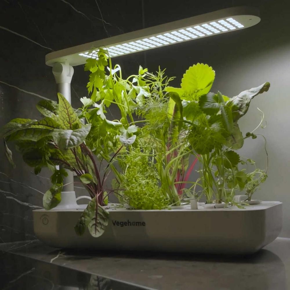 Vegehome - Jardin intérieur, trousse de démarrage pour jardin intérieur