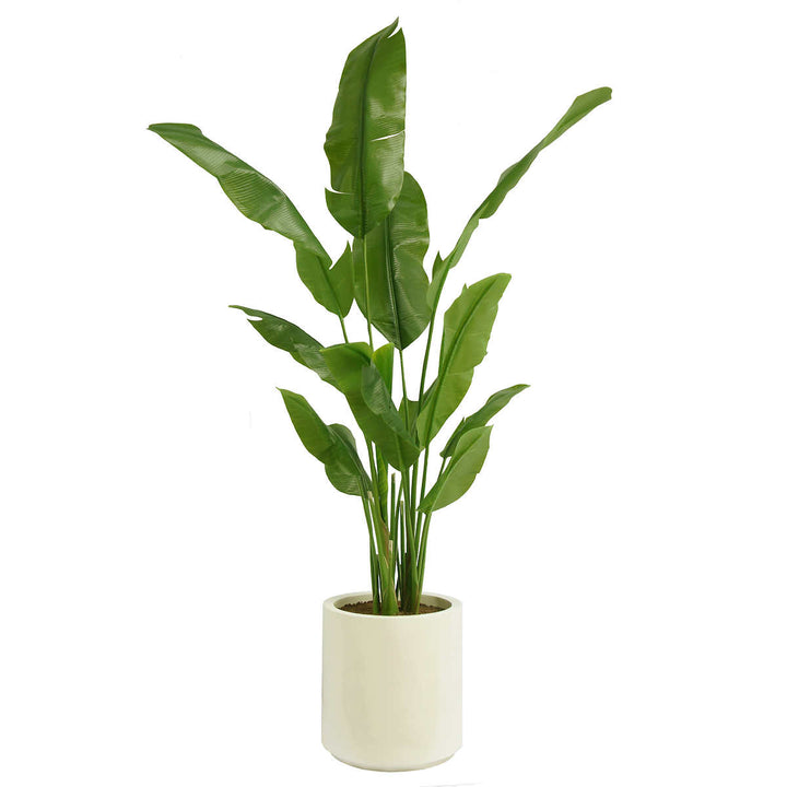 CG Hunter - Bananier artificiel de 98 cm (78 po) dans une jardinière crème