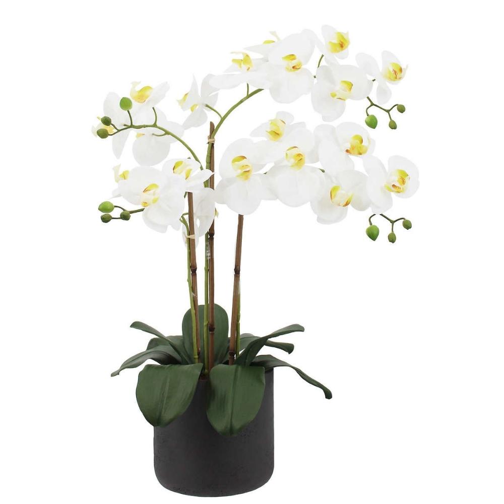 CG Hunter - Orchidée artificielle à 3,5 tiges