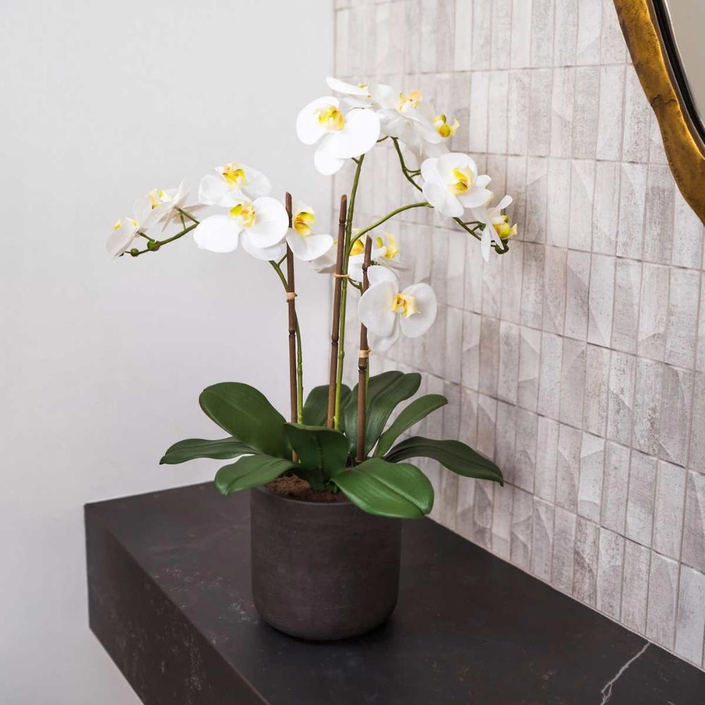 CG Hunter - Orchidée artificielle à 3,5 tiges