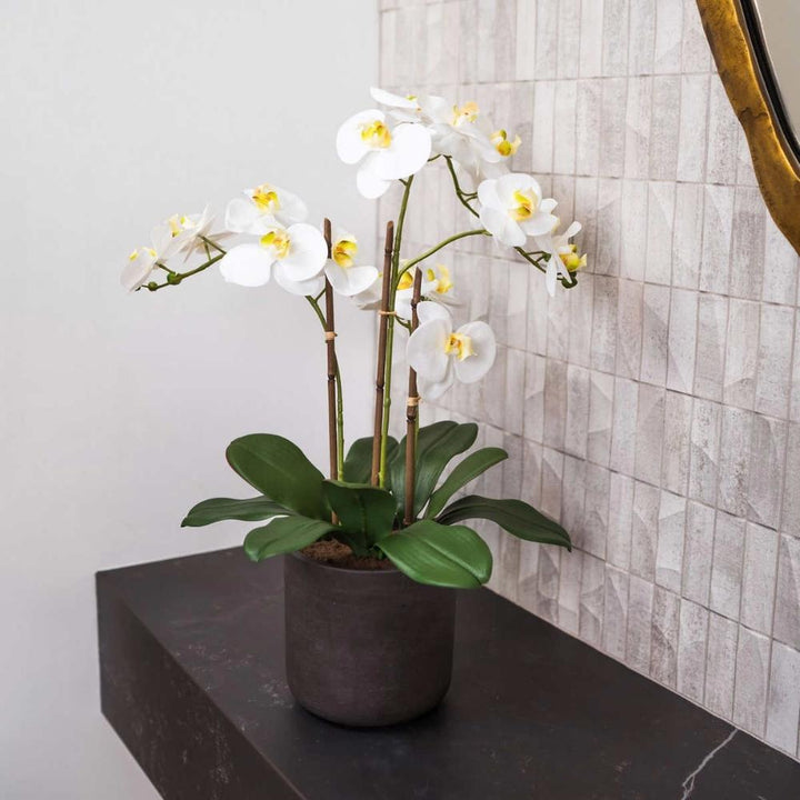 CG Hunter - Orchidée artificielle à 3,5 tiges
