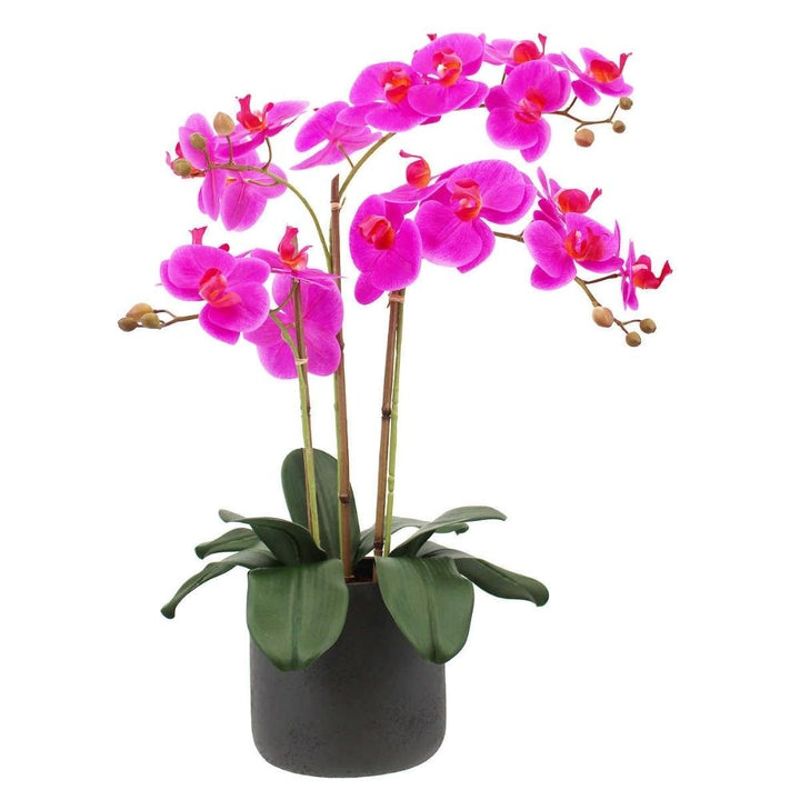 CG Hunter - Orchidée artificielle à 3,5 tiges