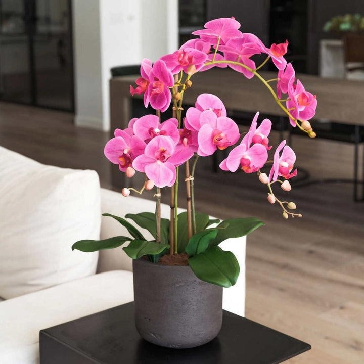 CG Hunter - Orchidée artificielle à 3,5 tiges