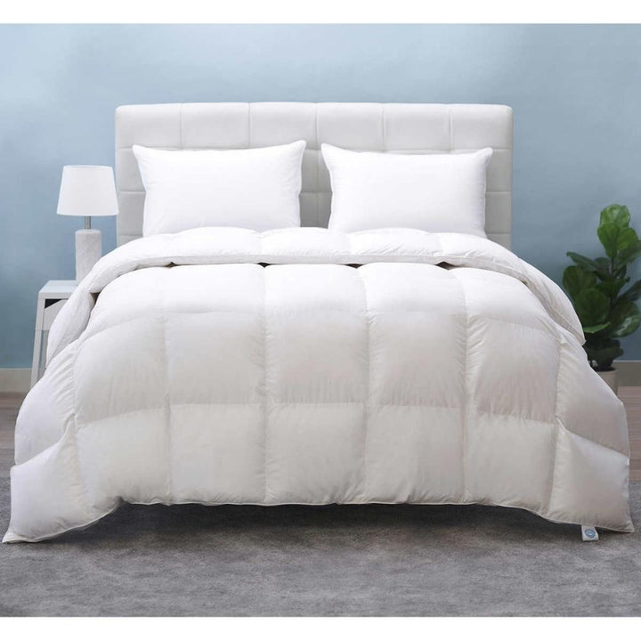 Allied Home - Couette en duvet d'oie blanche RDS