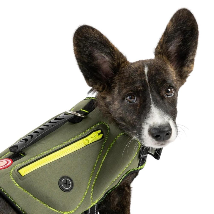 Silver Paw Neoprene Dog Life Jacket