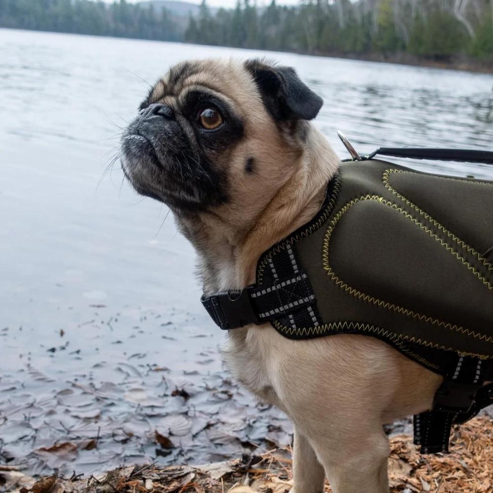 Silver Paw Neoprene Dog Life Jacket