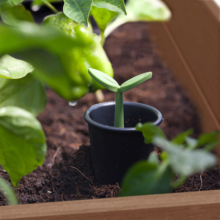Keter - Darwin Raised Grow Box