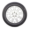 Bridgestone - Pneus d'été Ecopia PP422 Plus 185/55R15